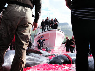 angebot-reportagen-10_©maykwendt angebot-reportagen-10_©maykwendt